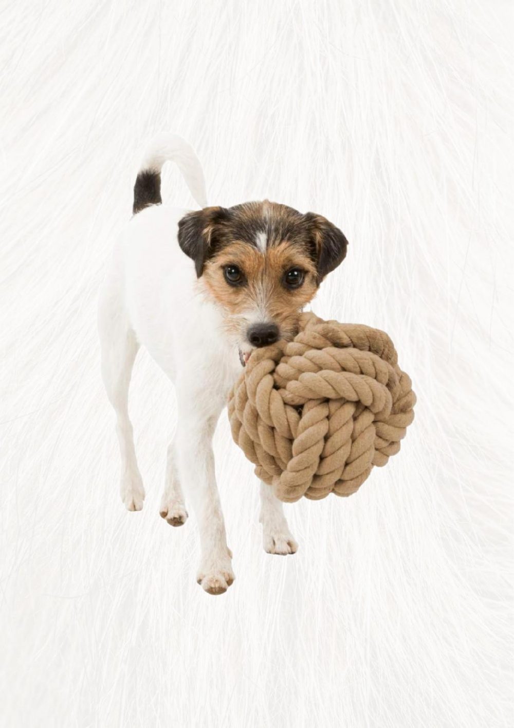 DOG ROPE BALL 13CM Knotted Braid Pet Rope Beige Cotton Pet Dog Ball - Image 11