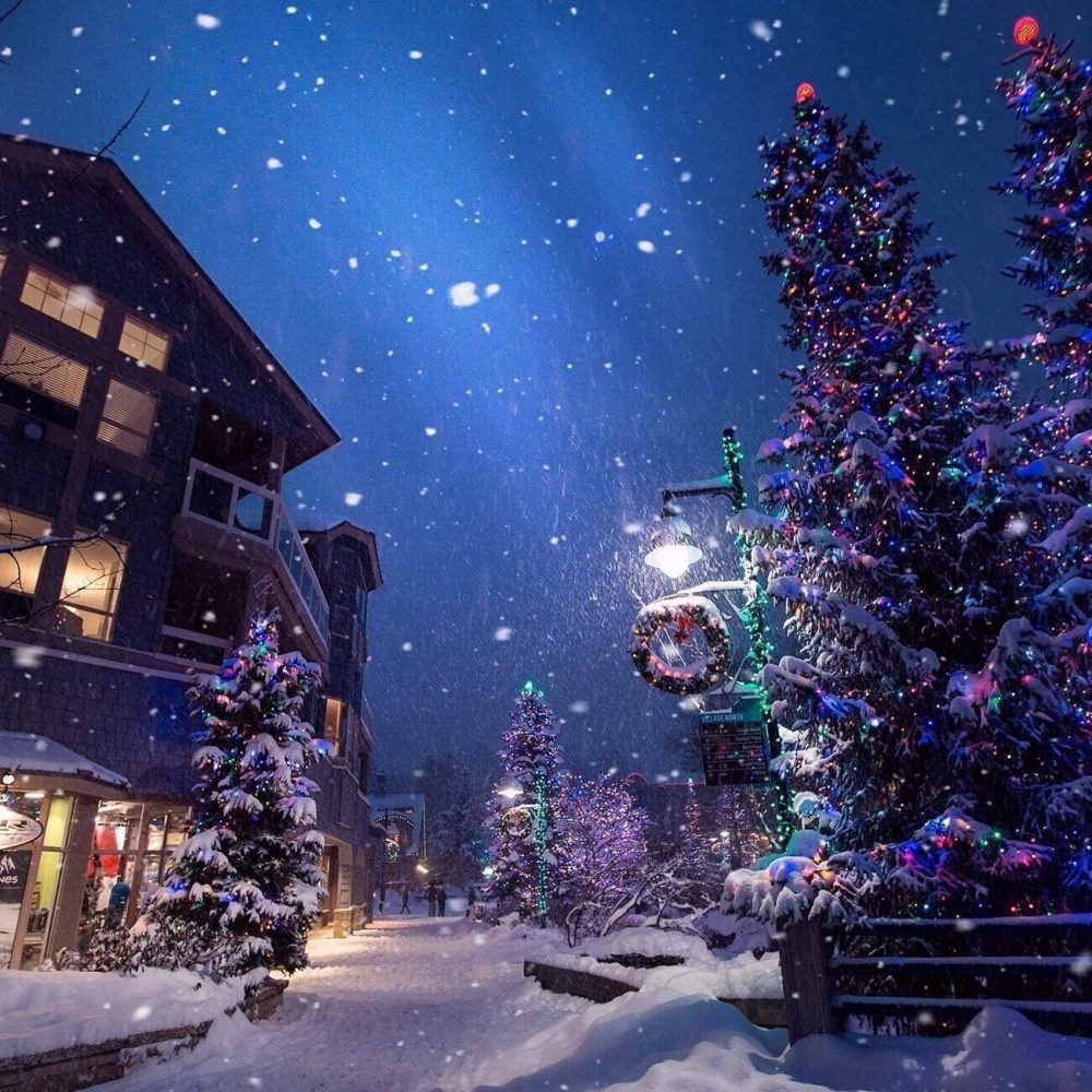 LED LIGHTS SLIVER WIRE MULTICOLO MICRO LED 20 LED 95 CM INDOOR DECORATIONS - Image 7