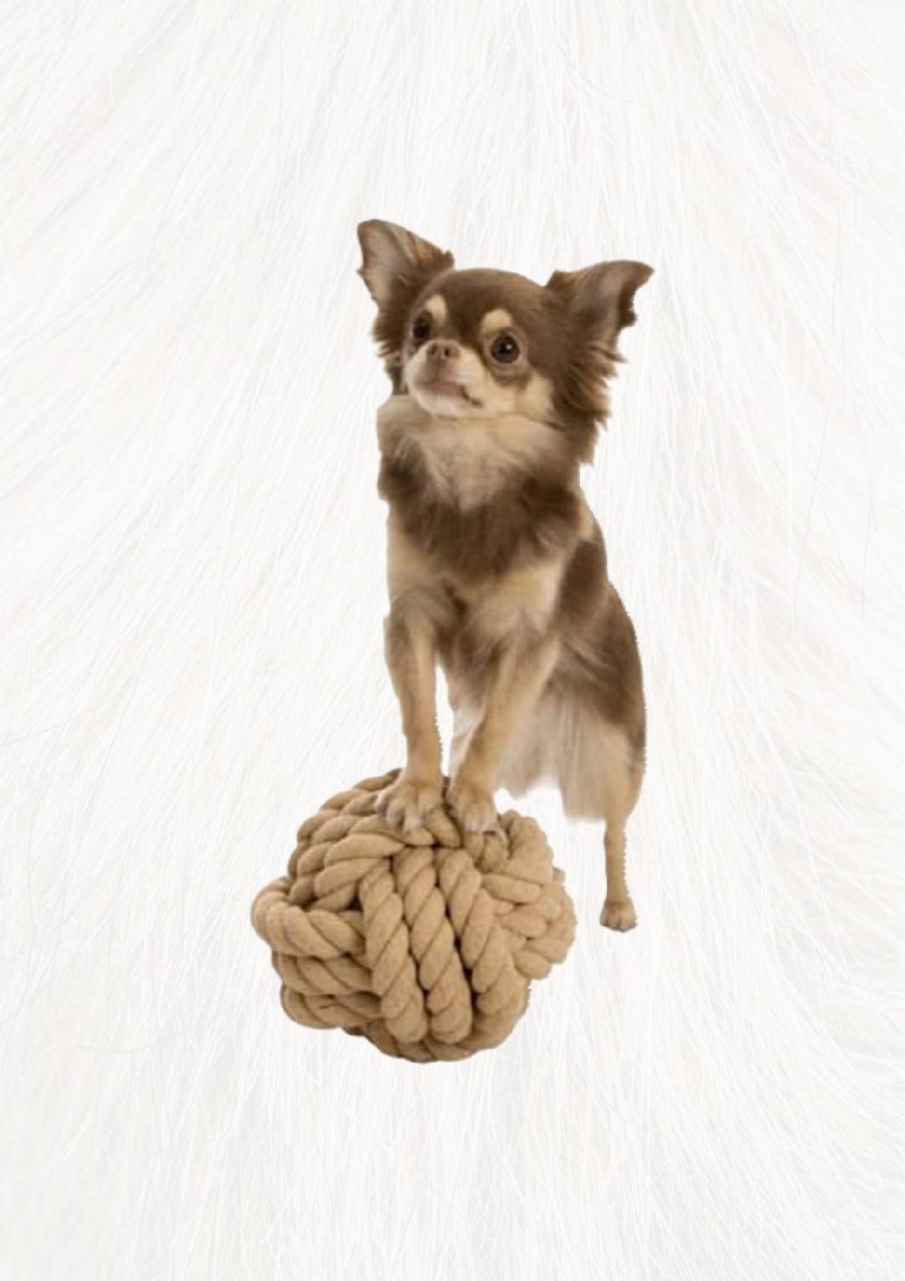 DOG ROPE BALL 13CM Knotted Braid Pet Rope Beige Cotton Pet Dog Ball - Image 4